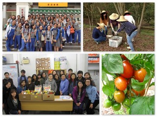 你想知道ACT做甚麼嗎? 你想知道ACT做甚麼嗎?