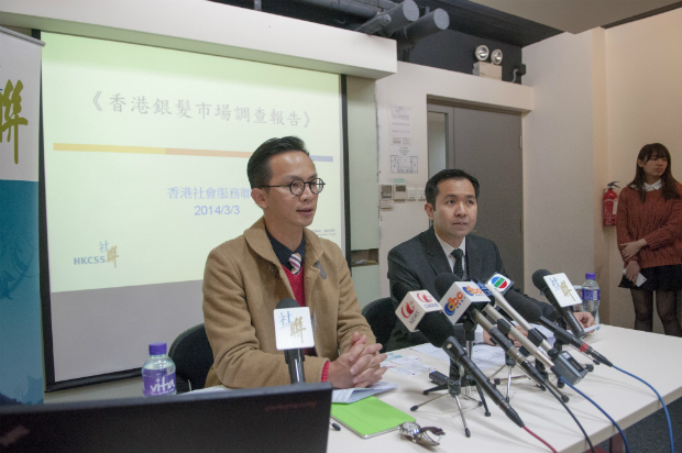 Silver Emblem Recognition Scheme photo 2 Silver Emblem Recognition Scheme photo 2